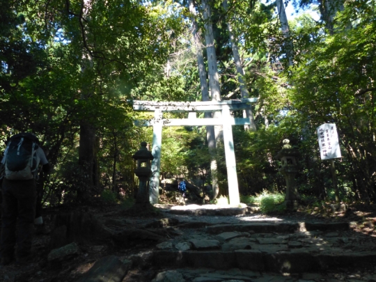登山道